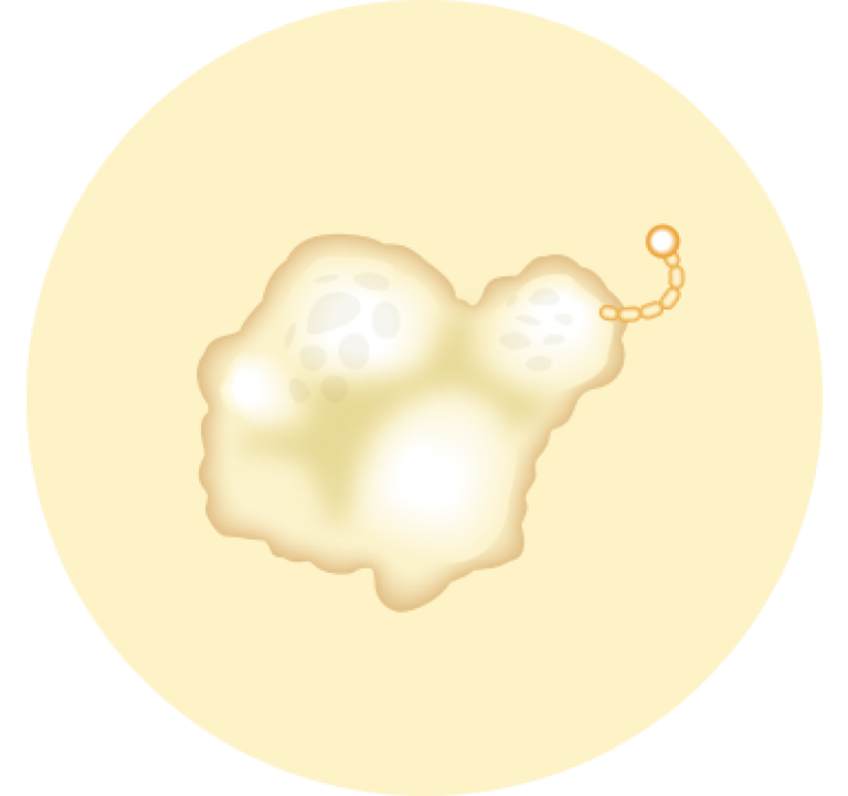 Alglucosidase-alfa Enzyme